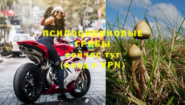 дживик Беломорск
