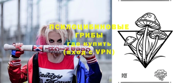 дживик Беломорск