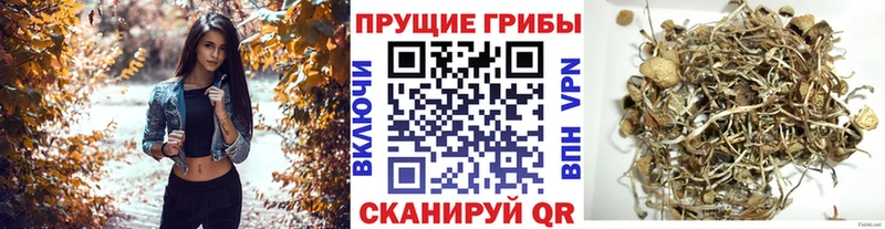 Псилоцибиновые грибы MAGIC MUSHROOMS  Миасс 