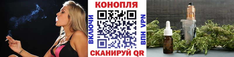 Каннабис сатива  Миасс 
